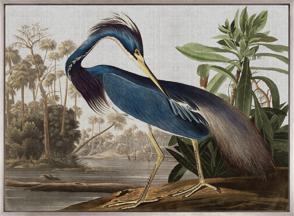 Exquisite Bird VII (Canvas)