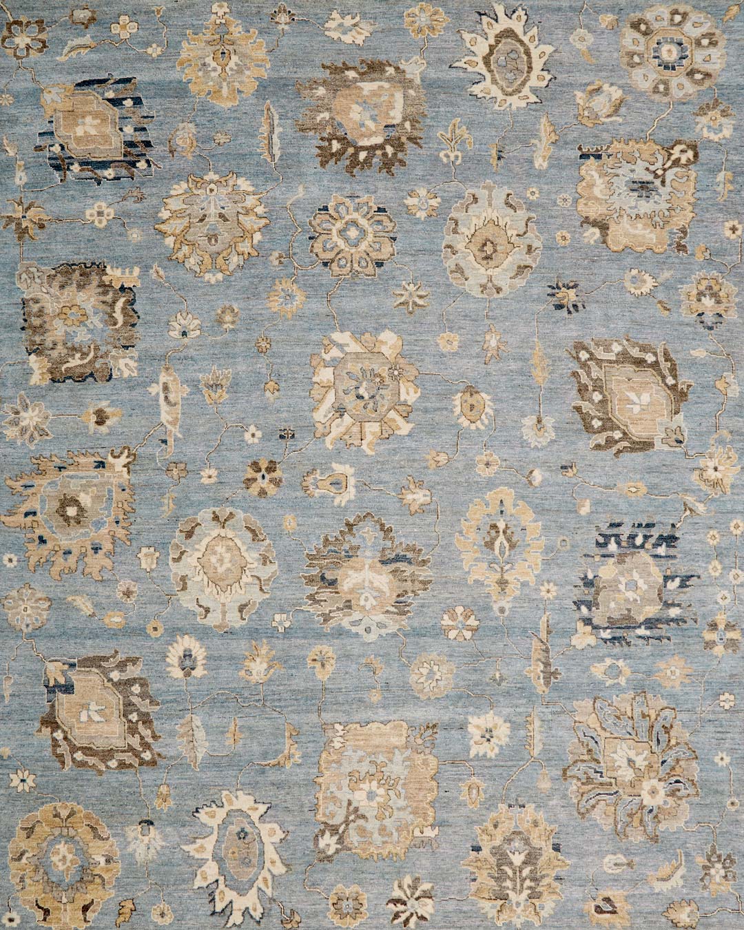 Cadiz Multi Transitional Rugs