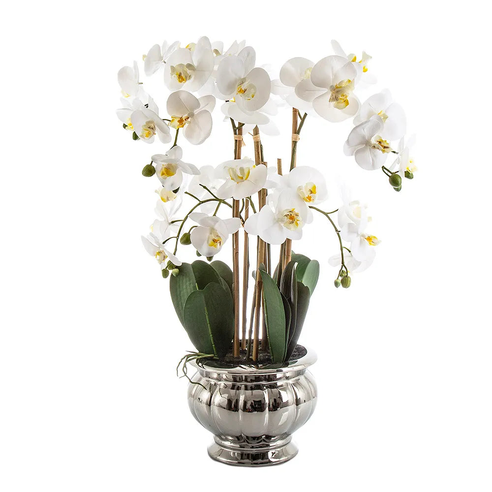 Potted White Orchid in Silver Bowl Large 68cm