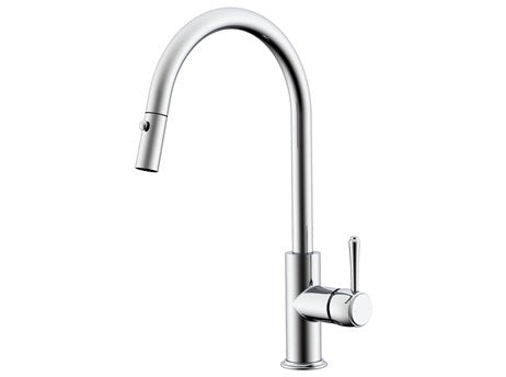 Eternal Kitchen Pull Down Mixer